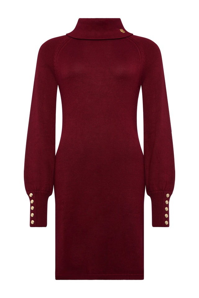 Chamonix Fit & Flare Dress (Wine)