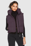 Aurora Hooded Down Puffer Vest